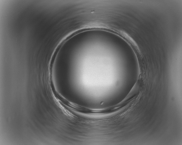 X0000084031380200702161423