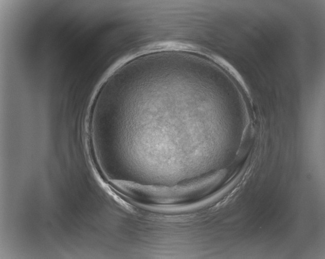 X0000084031381200702161423