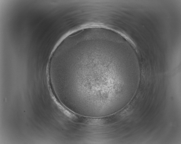 X0000084031382200702161423