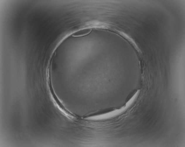 X0000084031383200702161423