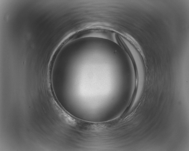 X0000084031384200702161423