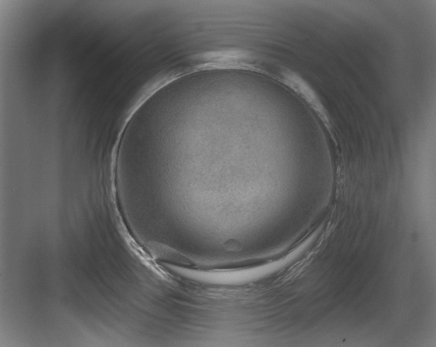 X0000084031386200702161423