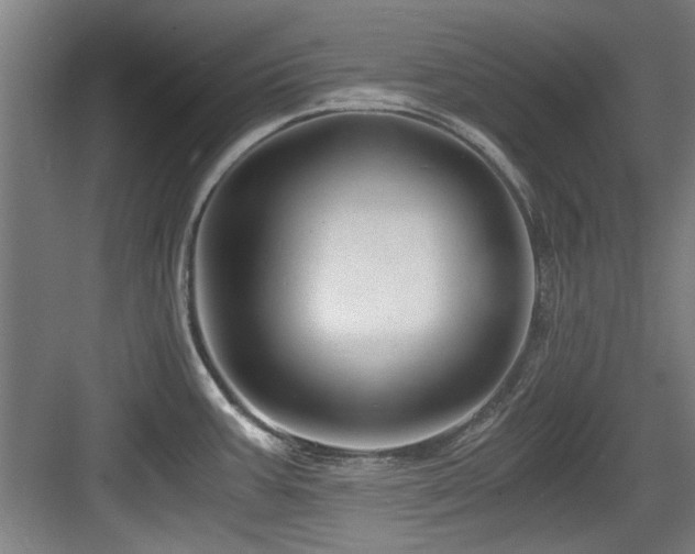 X0000084031387200702161423