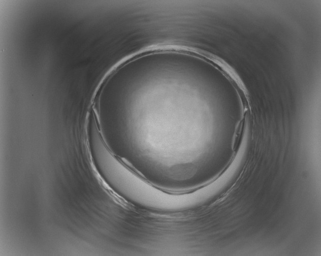 X0000084031388200702161423