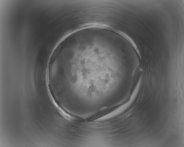 X0000084031391200702161423