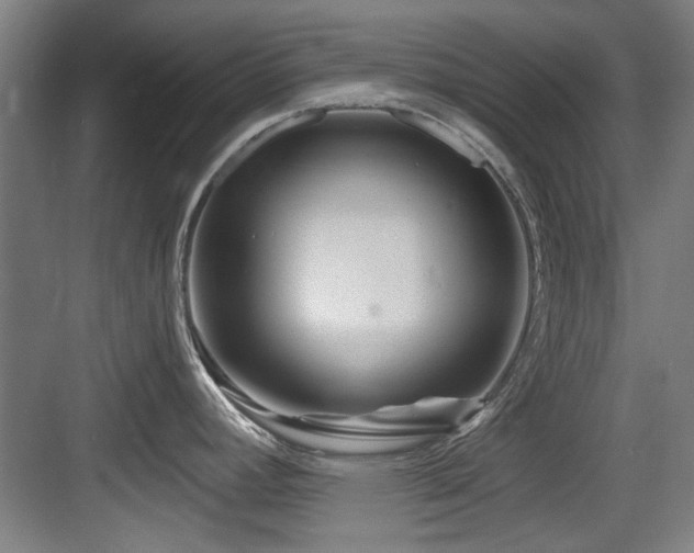 X0000084031392200702161423