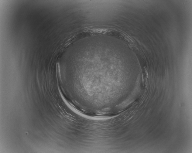 X0000084031394200702161422