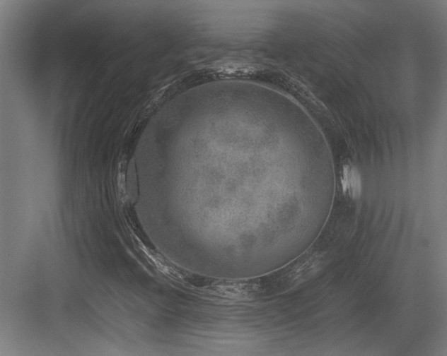 X0000084031396200702161422