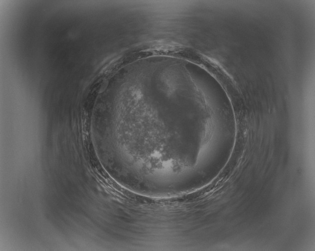 X0000084031399200702161422