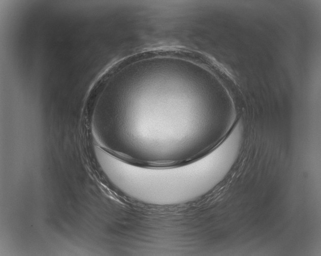 X0000084031400200702161422