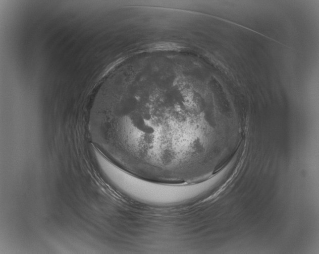 X0000084031401200702161422