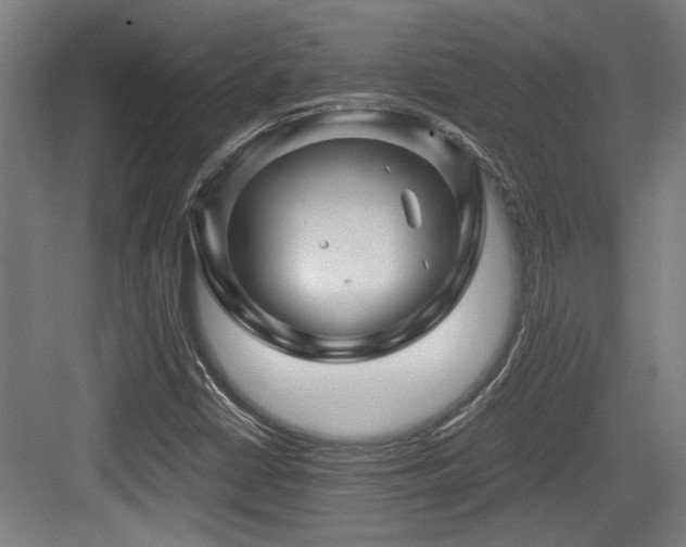 X0000084031402200702161422