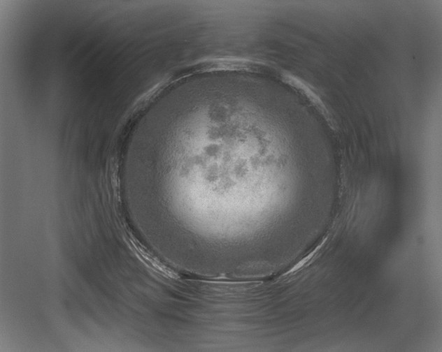 X0000084031403200702161422