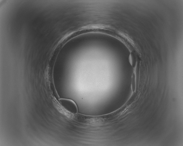 X0000084031404200702161422