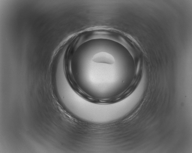 X0000084031406200702161423