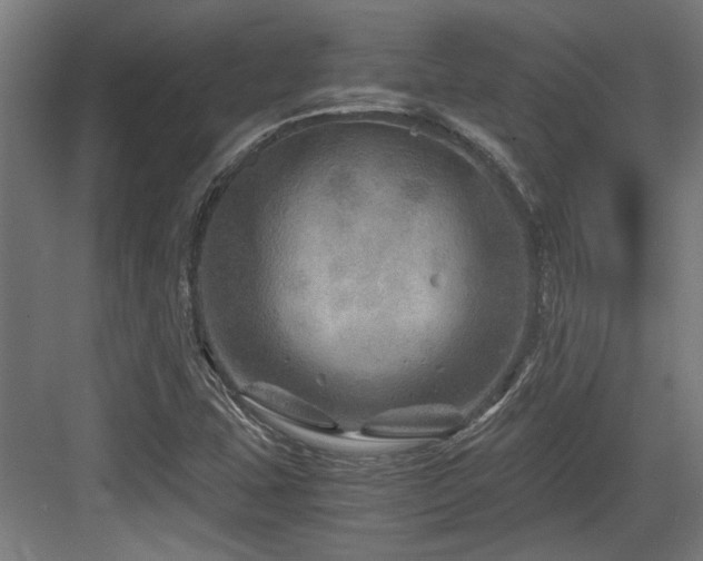 X0000084031407200702161423