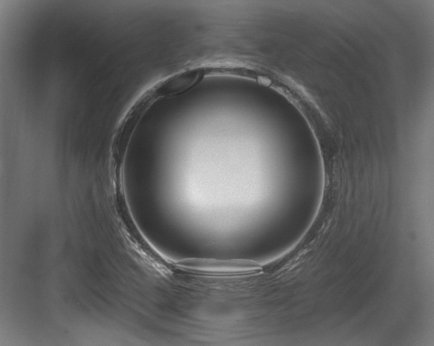 X0000084031408200702161423