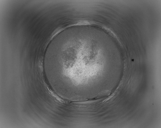 X0000084031409200702161423