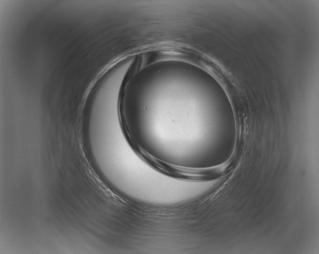 X0000084031410200702161423