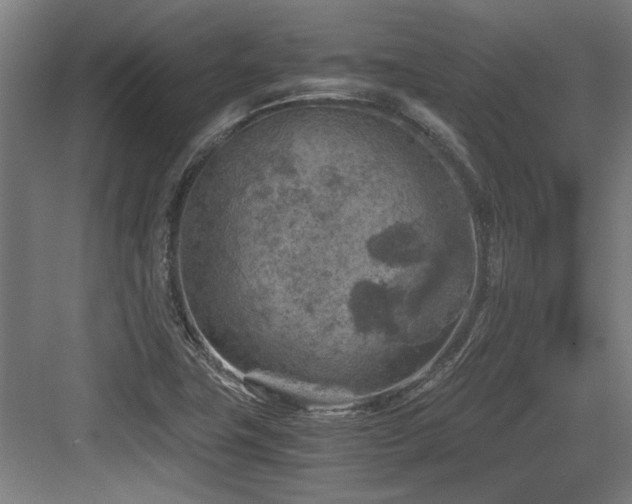 X0000084031411200702161423