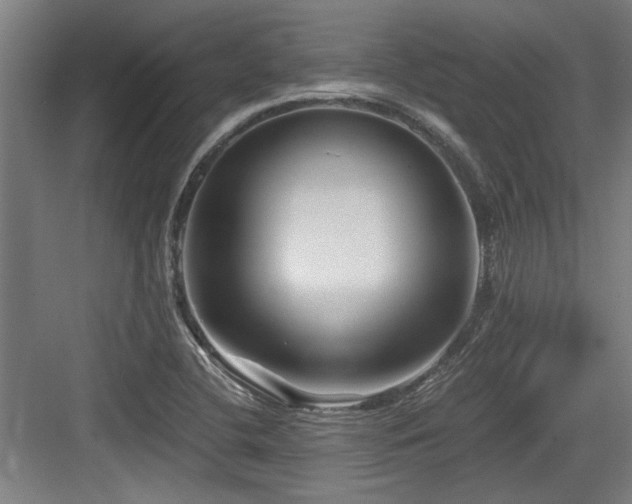 X0000084031412200702161423