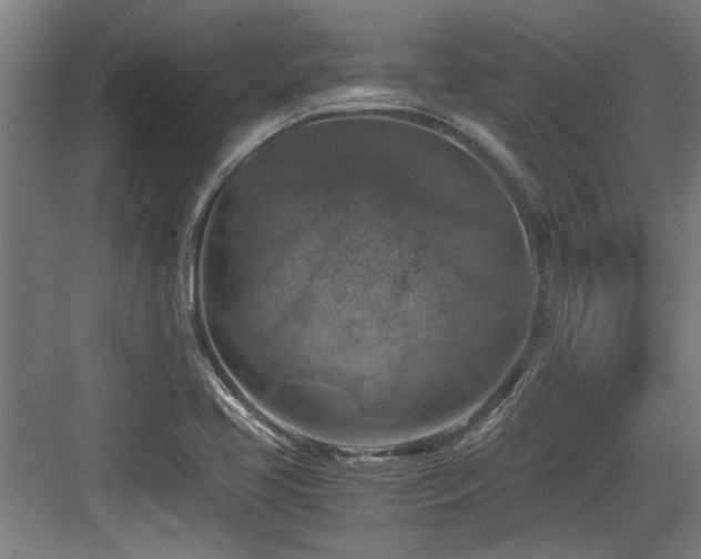 X0000084031413200702161423