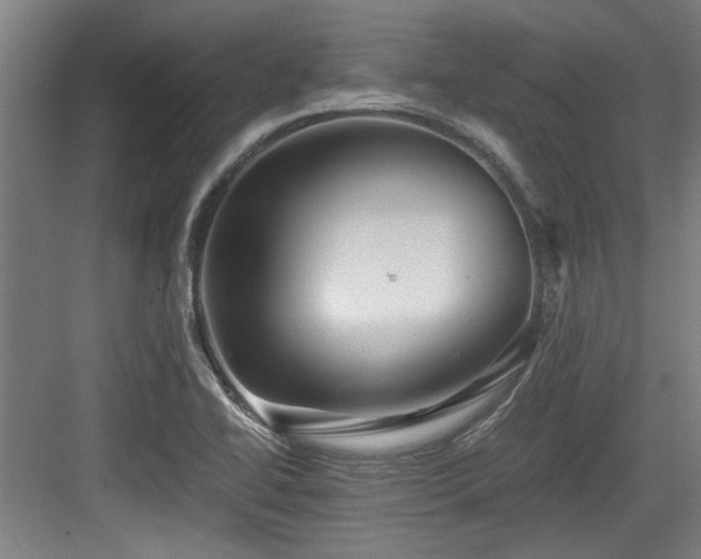 X0000084031414200702161423