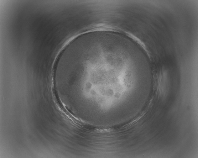 X0000084031415200702161423