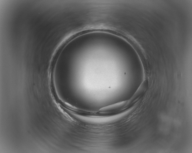 X0000084031416200702161423