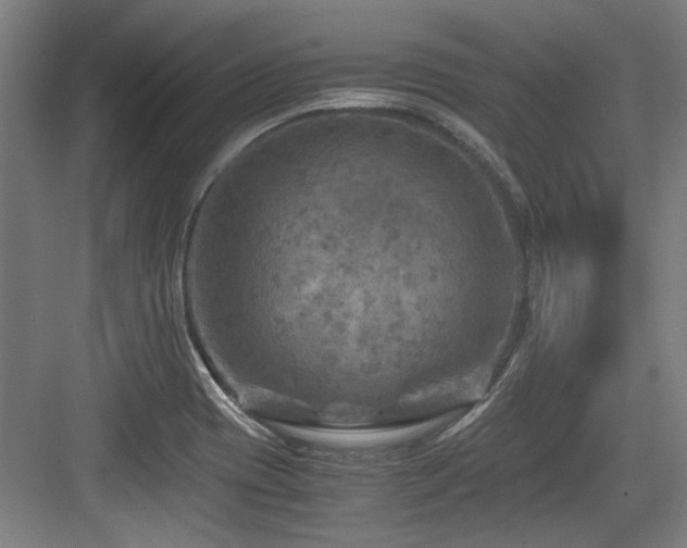 X0000084031417200702161423