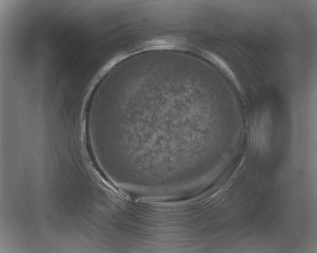 X0000084031419200702161423