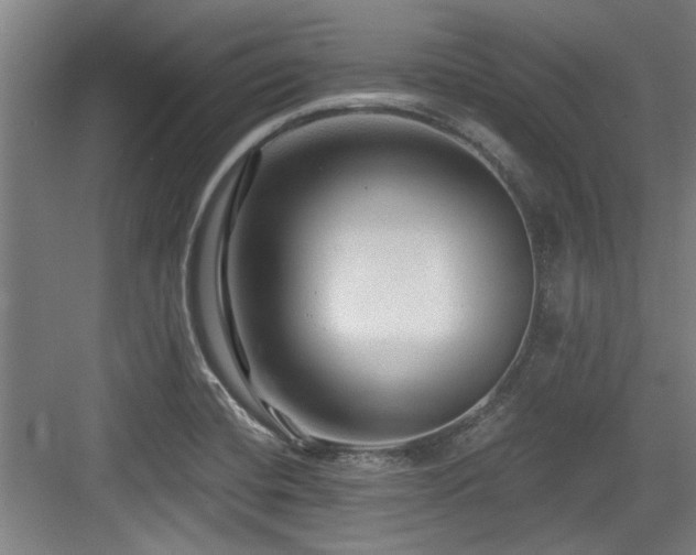 X0000084031420200702161423