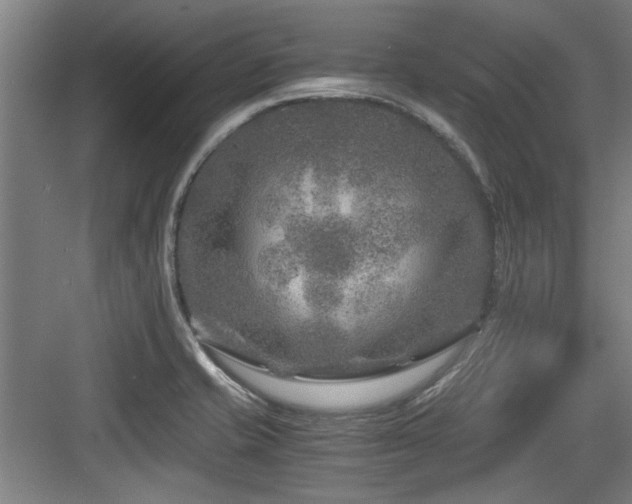 X0000084031421200702161423