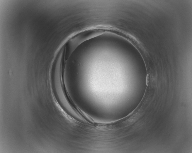 X0000084031422200702161423