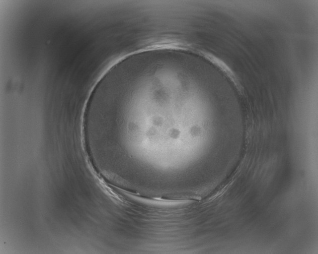 X0000084031423200702161423