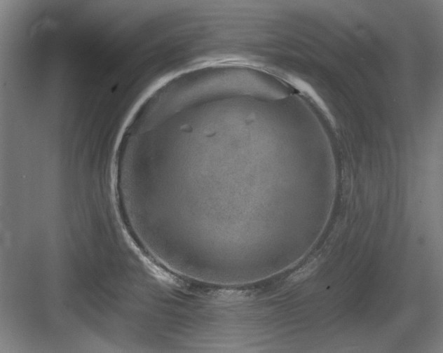 X0000084031424200702161423