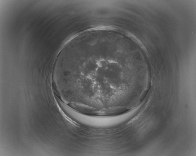 X0000084031425200702161423