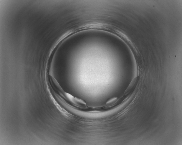 X0000084031426200702161423