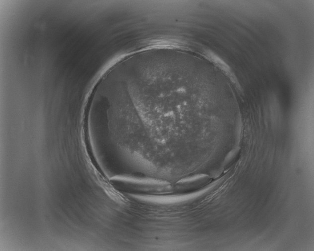 X0000084031427200702161423