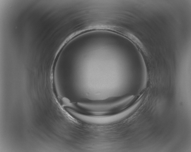 X0000084031428200702161423