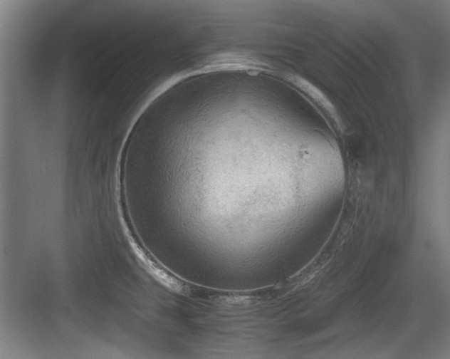 X0000084031431200702161423