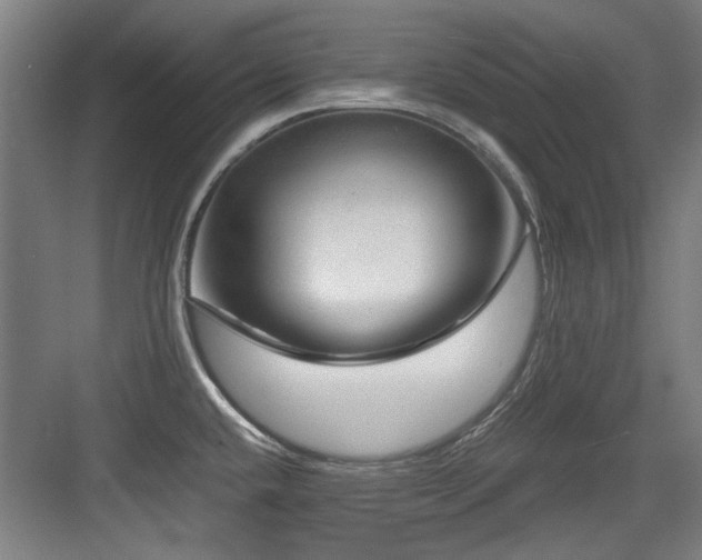 X0000084031432200702161423