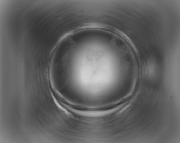 X0000084031433200702161423