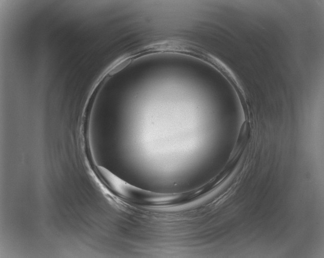 X0000084031434200702161423