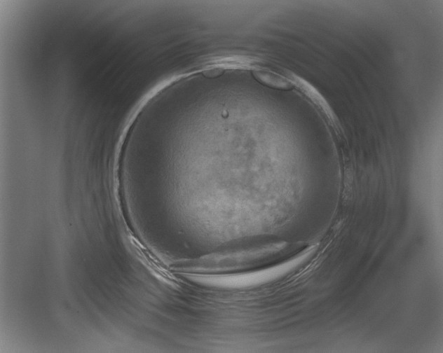 X0000084031435200702161423