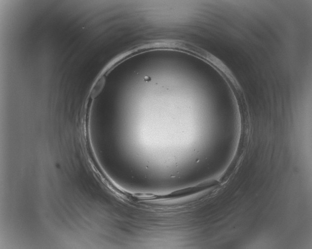 X0000084031436200702161423