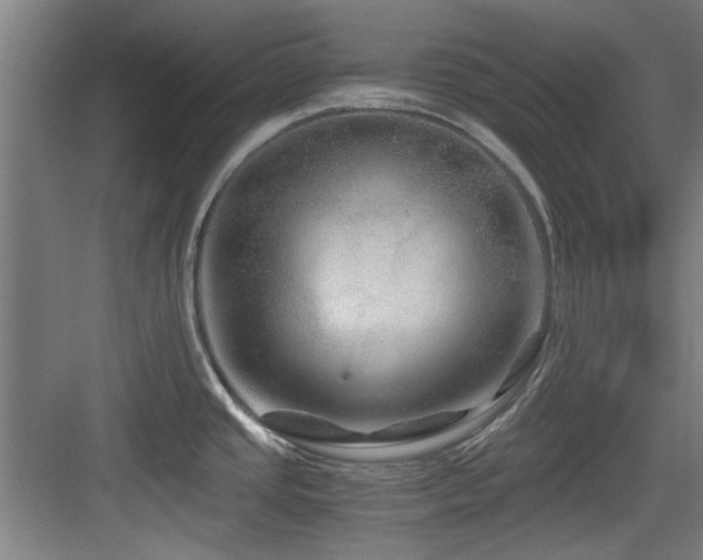 X0000084031437200702161423