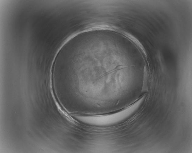 X0000084031439200702161423