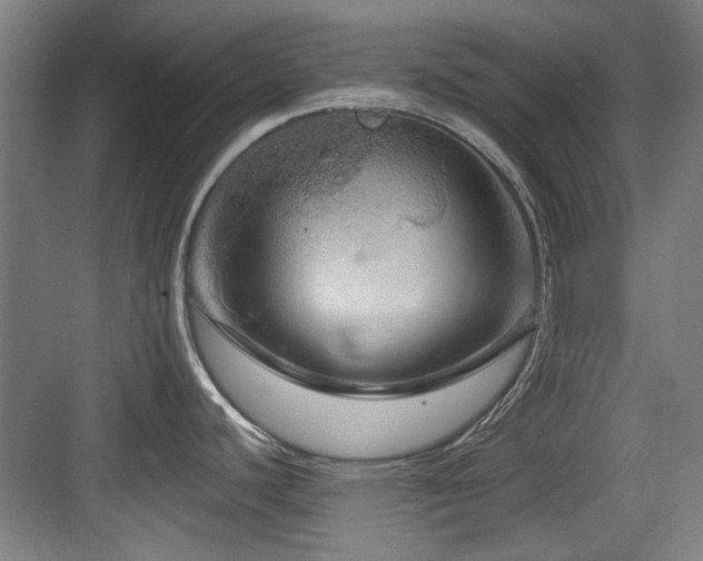 X0000084031440200702161423