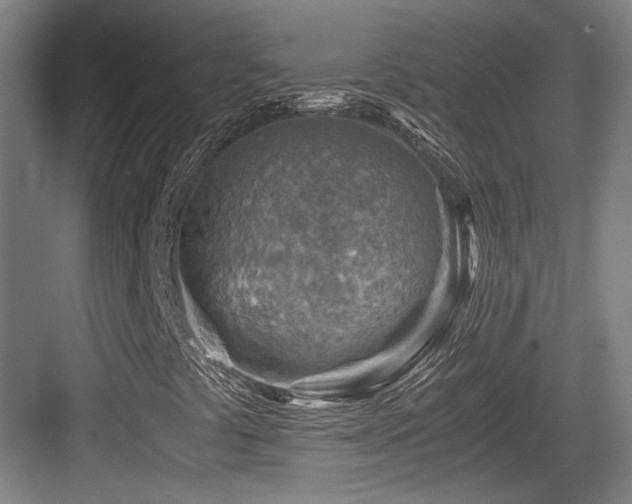 X0000084031441200702161422